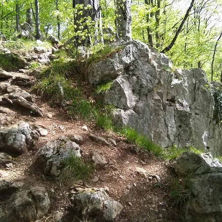 Perucac Apartment Apartment Perucac