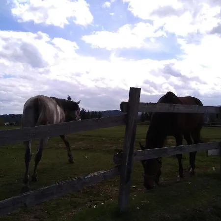 Daire Perucac Apartment