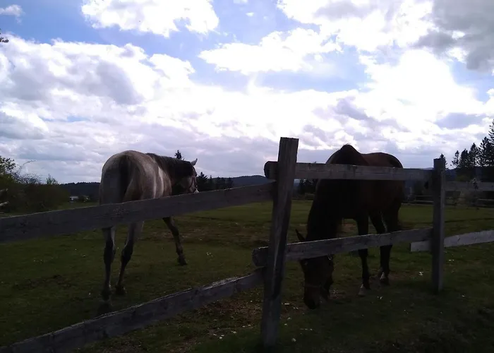 Daire Perucac Apartment